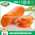 2014 Nuevo Cultivo China Shandong Fresh Carrot